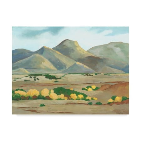 Chariklia Zarris 'Mini Western Vista V' Canvas Art,35x47